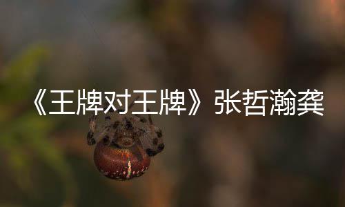 对王第几牌对牌王王牌王牌龚俊一期张哲瀚在哪张哲瀚龚期有俊